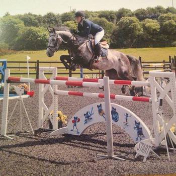 Lucy Palmers Journey to HOYS Qualification Lucy Palmers Journey to HOYS Qualification